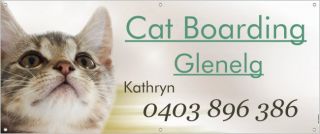 cat accommodation adelaide Cat Boarding Glenelg