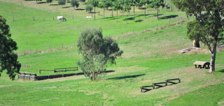 pony riding places in adelaide Megan Jones Equestrian Training