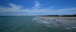 Semaphore beach