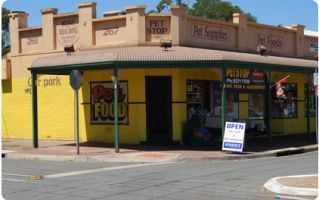 shops to buy dogs in adelaide PetSTOP Kings Park