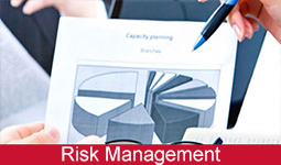 risk management