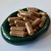 Premium placenta encapsulation services in Adelaide www.elementalbeginnings.net