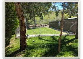 dog boarding kennels in adelaide Coralta Boarding Kennels