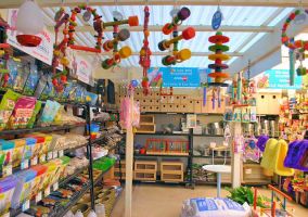 Bird accessories Supplier South Australia