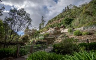 romantic outings in adelaide Utopia @ Waterfall Gully