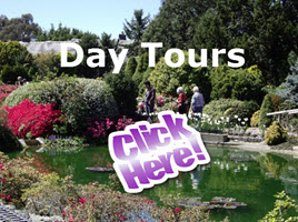 bus tour adelaide Aust-Wide Tours