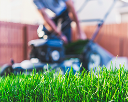 installation of artificial grass adelaide Paul Munns Instant Lawn