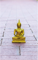 zen meditation centers in adelaide Mindfulness Meditation Group