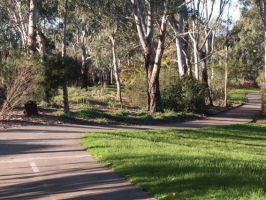 free routes in adelaide River Torrens Linear Park Trail