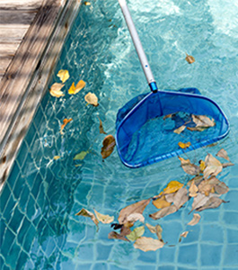 swimming pool repair companies in adelaide Adelaide Pool Mart