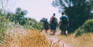 mountain campsites in adelaide Belair National Park Holiday Park