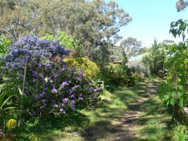 colon hydrotherapies in adelaide Sunflower Clinic Australia - Adelaide Colonics, Hyperbaric Oxygen Therapy & Advanced Blood Analysis