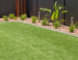 Artificial Grass