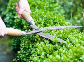 landscaping courses in adelaide Trusted Garden Maintenance