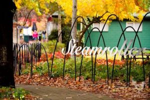 parks for picnics in adelaide Steamroller Park