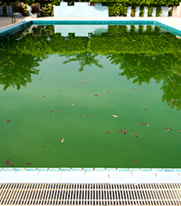 swimming pool shops in adelaide Adelaide Pool Mart