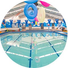 bathing spots in adelaide Blue Dolphin Swim Centre Pty Ltd