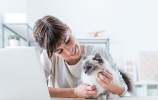 dog shops in adelaide Petbarn