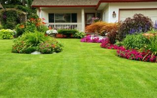 installation of artificial grass adelaide Paul Munns Instant Lawn