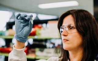 viral disease specialists adelaide SAHMRI (South Australian Health and Medical Research Institute)