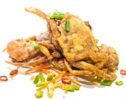 restaurants to eat gluten free in adelaide House Of Chow Restaurant