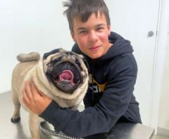 Boy with puppy