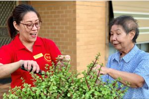 chinese lessons adelaide Chinese Welfare Services of Sa Inc.