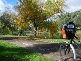 free routes in adelaide River Torrens Linear Park Trail