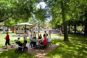 parks to celebrate birthdays in adelaide Steamroller Park