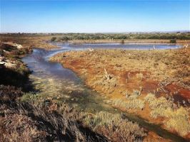 sites to get navigation license in adelaide Adelaide Dolphin Sanctuary